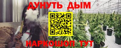 дмт Пенза