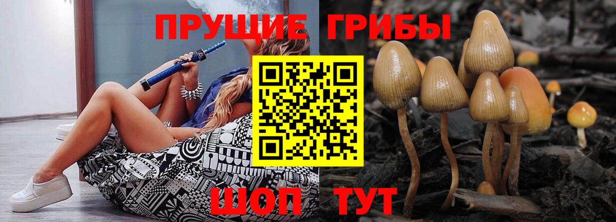 Советск  Псилоцибиновые грибы прущие грибы  Псилоцибиновые грибы Cubensis  Вход с VPN 