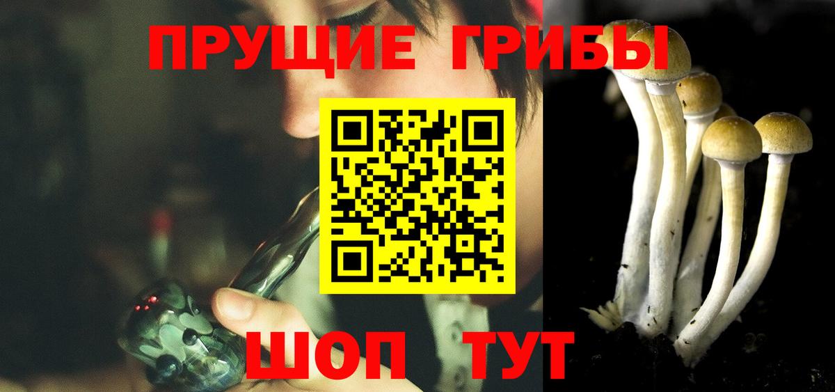 Галлюциногенные грибы мицелий Советск